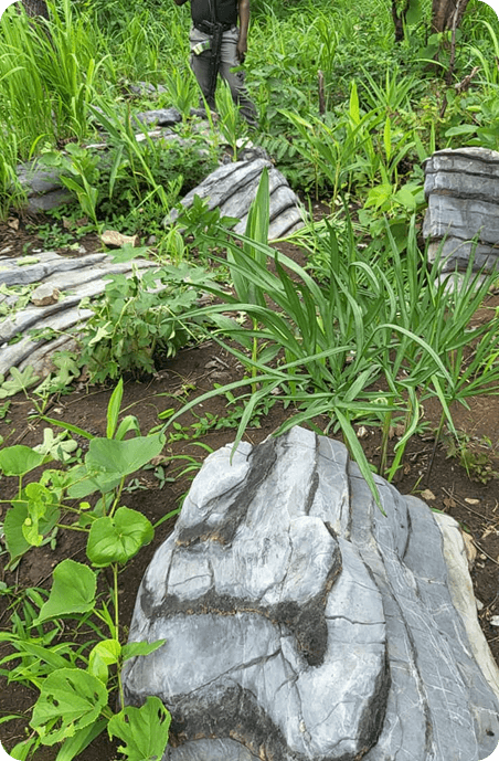Coal truck and loader