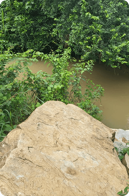 Coal truck and loader